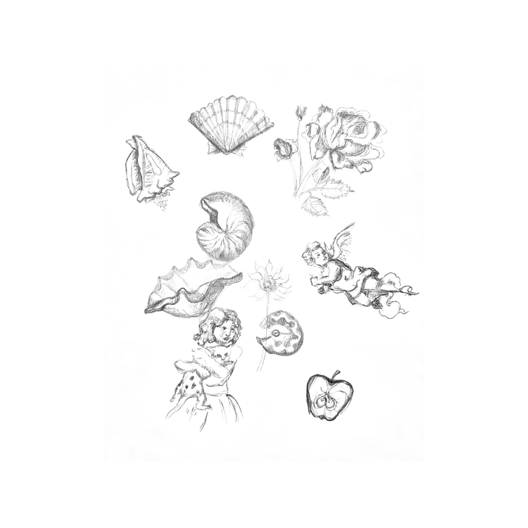 Collected Curiosities original artwork by AnnaSofia