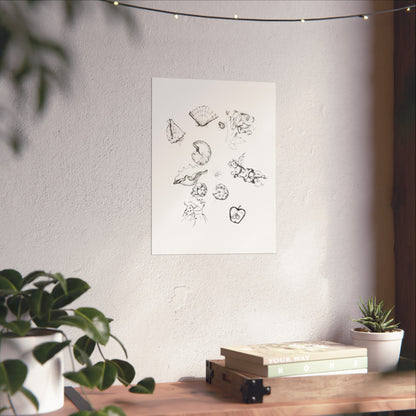 Collected Curiosities - Art Print